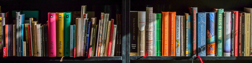 Bookcase with books on